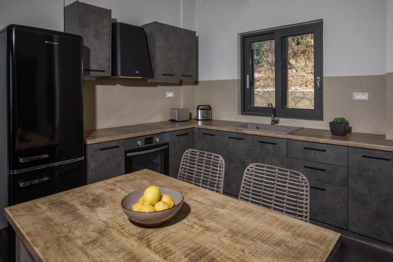 Brand New Villa Lefka With Private Pool At Platies Plateies 外观 照片