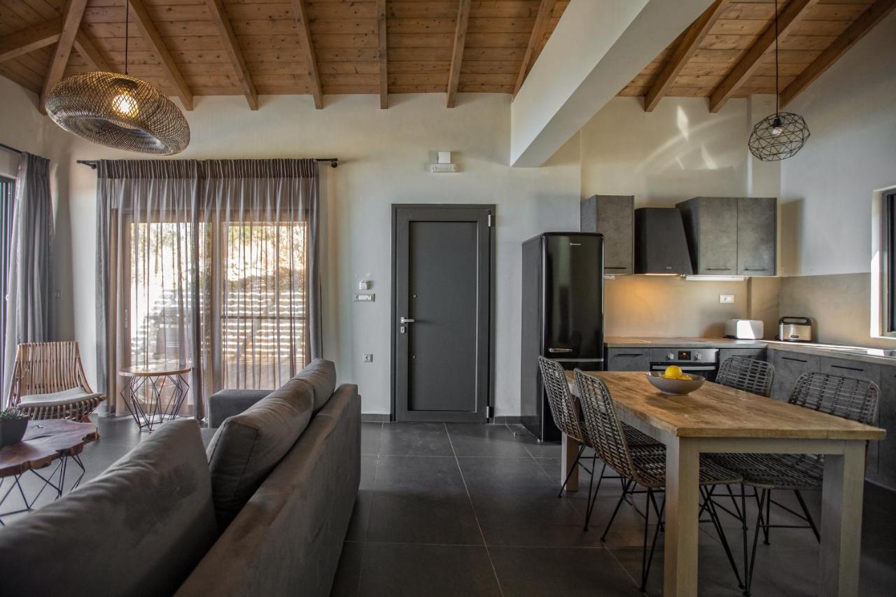 Brand New Villa Lefka With Private Pool At Platies Plateies 外观 照片